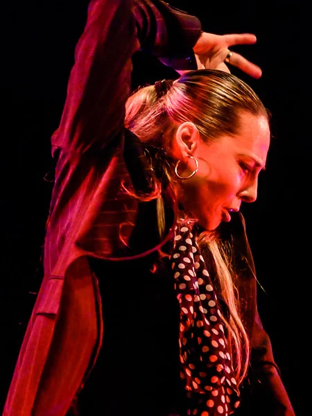 Flamenco Tanz Hamburg